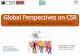 Global Perspectives on CSR in the Extractive Sector