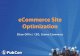 [Pubcon Austin 2010] eCommerce Site Optimization