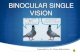 binocular single vision