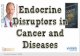 Endocrine disruptors-in-cancer-and-diseases