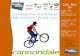 Cannondale Trail 2015 Mountain Bikes Collection - Formby Cycles