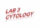 Cytology2 prelab