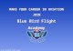 Bluebird Flight Academy: Aviation Training School