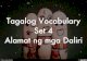 Tagalog Vocabulary Set 4 Alamat ng mga Daliri