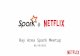 Spark Streaming Resiliency (Bay Area Spark Meetup)
