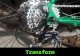 Bicycles transform