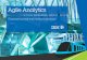 Agile Analytics: Empowering small and midsize businesses