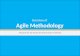 Overview of agile methodology