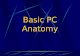 Basic pc anatomy