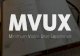 MVUX (Minimum Viable User Experience)
