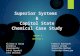 BITC C 6 SuperiorSystems1 PGDM 2014-2016