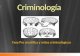 Mitos criminologicos