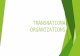 Transnational Organizations