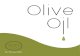 Olive Oil Redesign