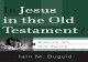 Is Jesus in the OT (Iain Duguid)