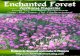 April 2014 Enchanted Forest Magazine