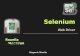 Selenium Webdriver (Selenium 2.0)