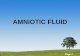10 kuliah amniotic fluid.ppt