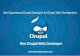 Hire drupal web developer india