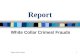 White Collar Crimes1 Report White Collar Crimes/ Frauds