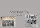 Scottsboro Trial By: Kyle Esty. Scottsboro Trial Background The Scottsboro Trial was a trial involving nine African American teenage boys accused of raping