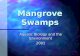 Mangrove Swamps Aquatic Biology and the Environment 2001.