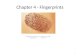 Chapter 4 - Fingerprints “Fingerprints cannot lie, but liars can make fingerprints.” --- unknown 1