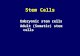 Stem Cells Embryonic stem cells Adult (Somatic) stem cells