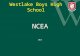 Westlake Boys High School NCEA 2015. What is required? NCEA Level 1 requires a minimum of 80 Level 1 credits. Including 10 Literacy credits 10 Numeracy