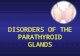 DISORDERS OF THE PARATHYROID GLANDS. Disorders of the Parathyroid Glands Maintenance of calcium, phosphate and magnesium homeostasis is under the influence.