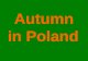 Autumn in Poland. october In Poland is moderated climate. We have autumn, winter, spring, summer