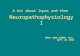 NANCY LONG SIEBER, PH.D. SEPT. 13, 2010 A bit about lupus and then Neuropathophysiology I