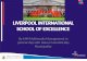 LIVERPOOL INTERNATIONAL SCHOOL OF EXCELLENCE By MM Multimedia Management in partnership with Nelson Mandela Bay Municipality LIVERPOOL INTERNATIONAL SCHOOL.