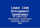 Lower limb Entrapment Syndromes Dr Andre Vlok Orthopaedic Department Kalafong hospital 2012.