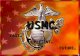 USMC PAST PRESENT FUTURE. Overview Establishment of the Marine Corps Marine Corps History Missions of the Marine Corps Status of the Marine Corps Marine