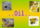 ..Olive oil of Marche.. Some oil in our area are… Olive Oil Extra Vergine Federico II; Olive Oil Extravergine Oro; Other particulary oil : Oil aromatizzati.