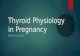 Thyroid Physiology in Pregnancy STELLER 2.14.2015