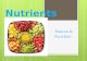 Nutrients Source & Function. List the nutrients found in an