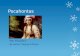 Pocahontas ABC Biography By Amari Cheong-A-Shack.
