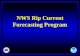 NWS Rip Current Forecasting Program. NWS Rip Current Forecasts l Surf Zone Forecast l Hazardous Weather Outlook l Rip Current Statement.