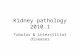 Kidney pathology 2010.1 Tubular & interstitial diseases