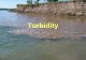 Turbidity. What is Turbidity?  A measure of water clarity  The murkier the water, the higher the turbidity.  Turbidity reduces the transmission of.
