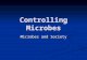 Controlling Microbes Microbes and Society. Different Ways of Controlling Microbes Physical Physical Chemical Chemical Antibiotics Antibiotics Immunological