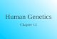 Human Genetics Chapter 12. Human Genetic Traits Do you think this trait is dominant or recessive?