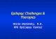 Epilepsy: Challenges & Therapies Orrin Devinsky, M.D. NYU Epilepsy Center.