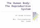 The Human Body: The Reproductive System 8 th Grade Science Mrs. Christopherson Mrs. Goede