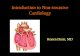 Introduction to Non-invasive Cardiology Ronen Durst, MD.