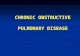 CHRONIC OBSTRUCTIVE PULMONARY DISEASE CHRONIC OBSTRUCTIVE PULMONARY DISEASE.