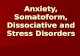Anxiety, Somatoform, Dissociative and Stress Disorders.