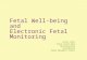 Fetal Well-being and Electronic Fetal Monitoring Fetal Tests Fetal Heart Rate Decelerations Variability Fetal Movement Counts.